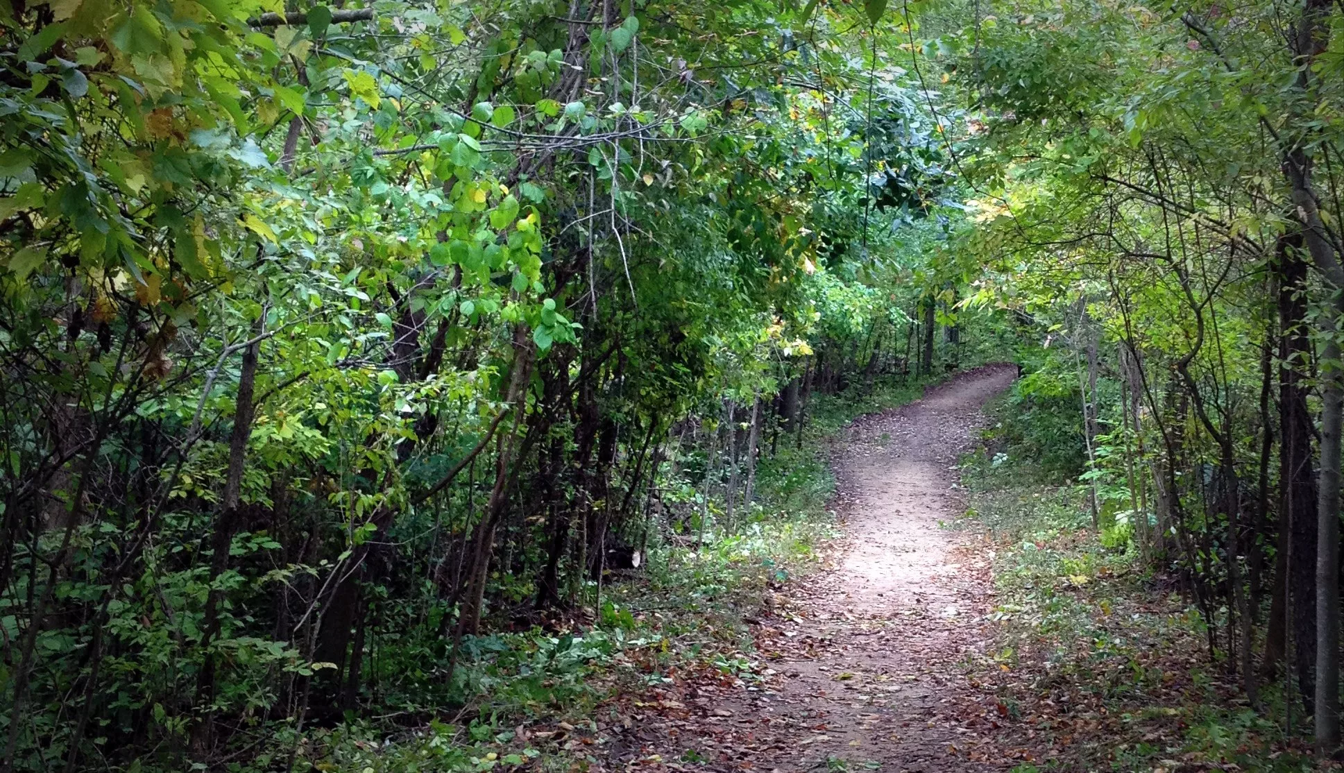 Trail Trimming Time