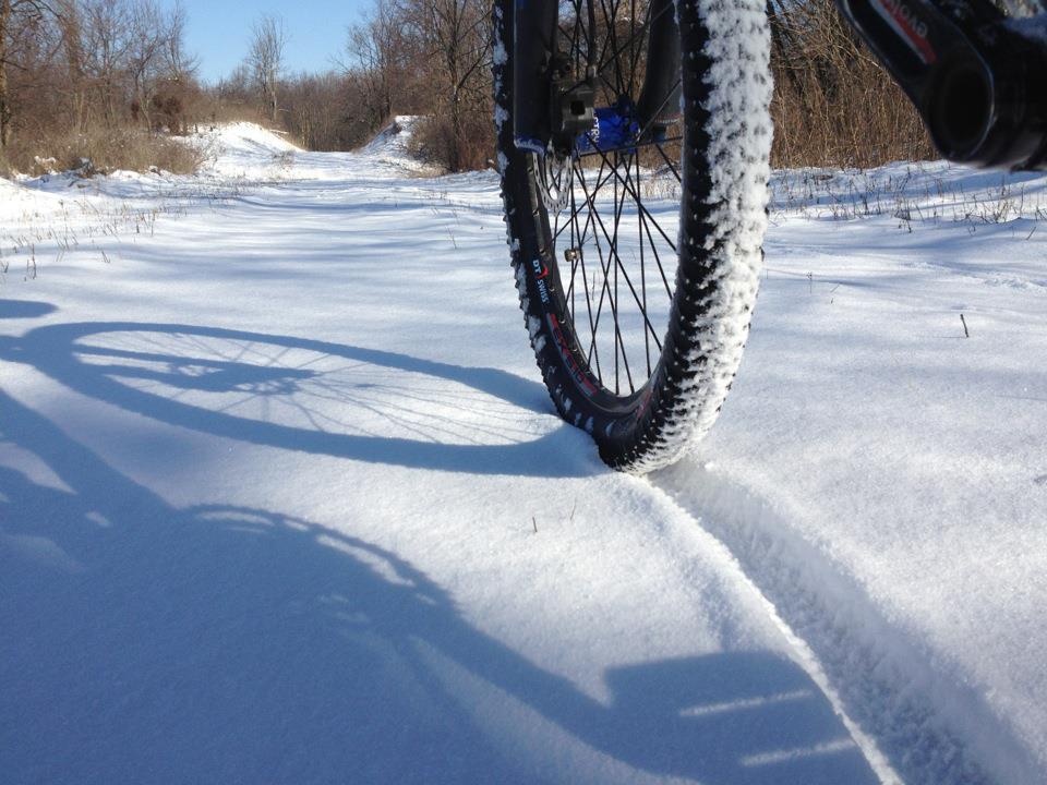 Long shadows, crisp air, and a stillness in the forest